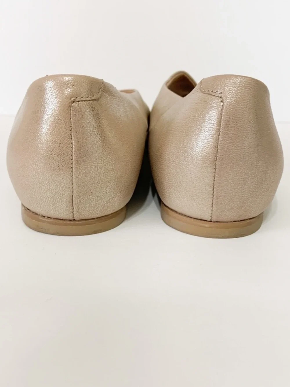 Anthropologie soft open